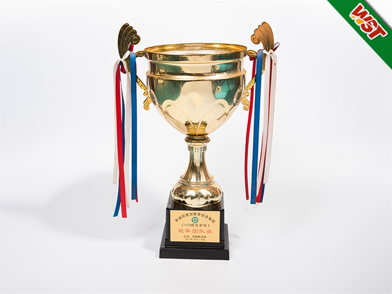 冠軍團(tuán)隊(duì)獎杯